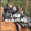 콩 포레스트