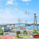 사천시 특별교통수단 이미지