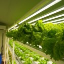 (주)바이오에이엠 이미지