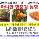 감나무목장 이미지