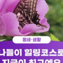 무궁화공원 이미지