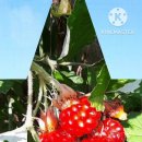 태산모텔 이미지