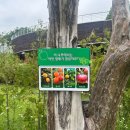 호수공원, 중앙공원 이미지