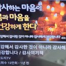 검찰특활비 국정조사권발동 비 바람몰아치는 세태 이미지