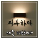 세종피부관리, 세종윤곽관리 :: 피부하다 솔직후기