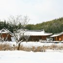 죽향민박 이미지