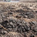 인의축산 이미지