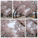 현대수산동물병원 이미지