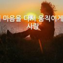 시작 Daum카페