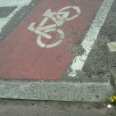 민들레생각