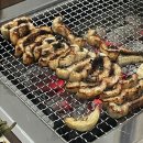 가성수족관 이미지