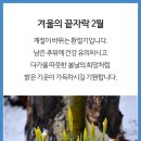 부산노인전문제2병원 | 부산노인전문제1병원 2월 사회사업 프로그램 일정표