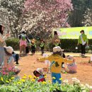 남해어린이공원 이미지