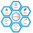 씨케이개발 이미지