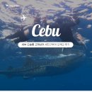 오상오토바이 | 세부 오슬롭 고래상어 투어 캐녀닝 모알보알 꼭 다시 가고싶은 세친구투어 오캐모 후기 꿀팁