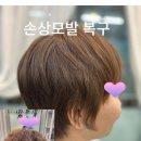 올라헤어닥터