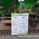 고무서리상회