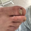 레푸스앤두두뷰티 이미지