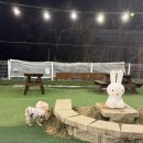 멍자매 | 안멍? 우리는 밍순,콩순 순자매라개~!