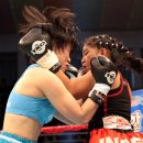 C.M. 복싱 이미지