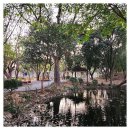 마더스 가든 | 치앙마이 숲캉스 명소 프린세스 마더스 헬스 가든 방문 후기! 인생샷 보장 숨겨진 힐링 스팟 추천 주소...