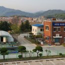 고아지