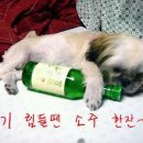 술친구 이미지