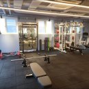 바이디짐 이미지