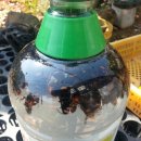 진정민박 이미지