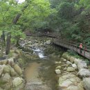 @ 도심에서 가까운 고즈넉한 고려시대 산사, 서울 제일의 계곡을 간직한 ~~~ 북한산 진관사 (진관사계곡) 이미지