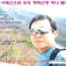 4월18일(토욜) 사패산으로 중앙선데이 구독권 받으로와요..*^^* 이미지