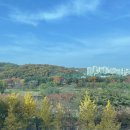 루쎄여성의원 | 사타구니 색소침착, 거뭇한 겨드랑이색소침착 탈출과 브라질리언 제모 눈에 띄는 변화!