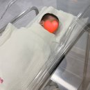 돌봐줄개 | [우리기쁜산부인과] 둘째 제왕절개 리얼 후기(비용/1인실/회복 꿀팁)