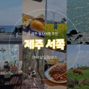 버스정류장 07-394 | [제주 서쪽여행] 여자혼자여행 가볼만한곳 코스추천 (1) 고내리,피즈버거,녹산로 유채꽃길,더클리프...