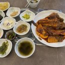 창성(애견) 이미지