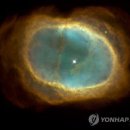 성운개발(주) 이미지