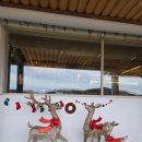 로드60 | 예스러운 분위기의 진해 두동 카페 로드60