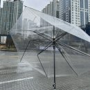 반자주 엘시티점 | 25.01.25~01.27 부산
