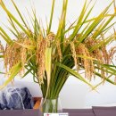 큰다솜한의원 이미지