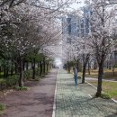 온누리공원 화장실 이미지