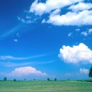 일일부독서구중생형극 이미지