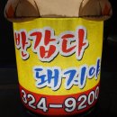 반갑다돼지야