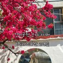 CU김해구산연지점 | 경남 김해 | 연지공원 근처 동네 한적한 아지트 카페 빌라드구산 후기