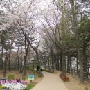 @ 서울 도심의 달달한 뒷동산이자 일몰 해돋이 명소, 남산 목멱산 ~~~ (남산야외식물원, 남산봉수대, 한양도성) 이미지