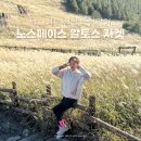 노스페이스울산 | 여자바람막이 추천 | 노스페이스 알토스 자켓 2025 신상 크림핑크 실물 후기 사이즈 팁