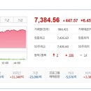 7384 이미지