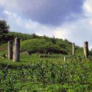 해선농장 이미지