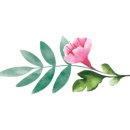 강정동-67 이미지