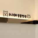 시아동물병원 이미지