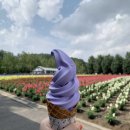 닝구르